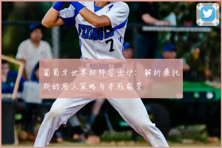 葡萄牙世界杯阵容出炉：解析桑托斯的用人策略与夺冠前景