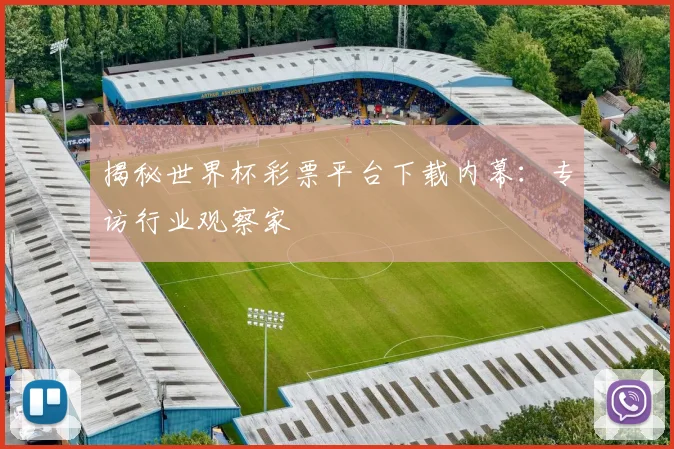 揭秘世界杯彩票平台下载内幕：专访行业观察家