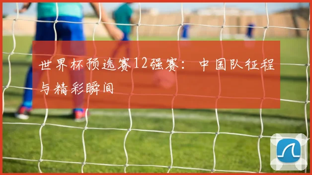 世界杯预选赛12强赛：中国队征程与精彩瞬间