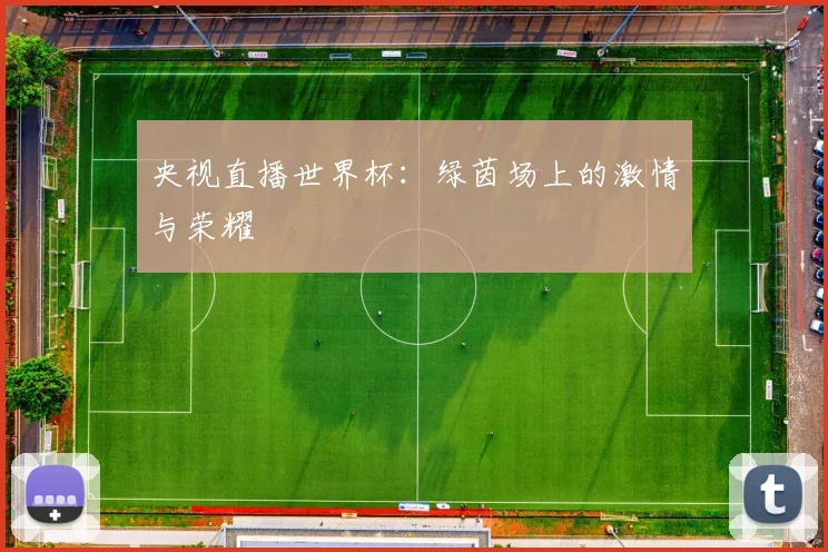央视直播世界杯：绿茵场上的激情与荣耀