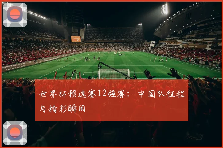 世界杯预选赛12强赛：中国队征程与精彩瞬间
