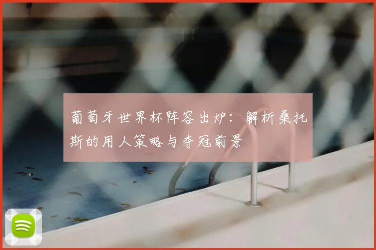 葡萄牙世界杯阵容出炉：解析桑托斯的用人策略与夺冠前景