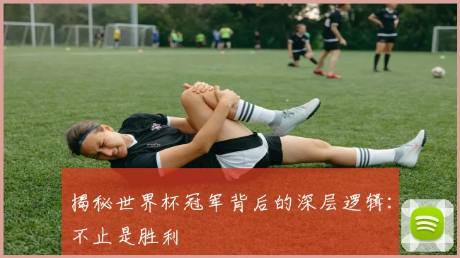 揭秘世界杯冠军背后的深层逻辑：不止是胜利